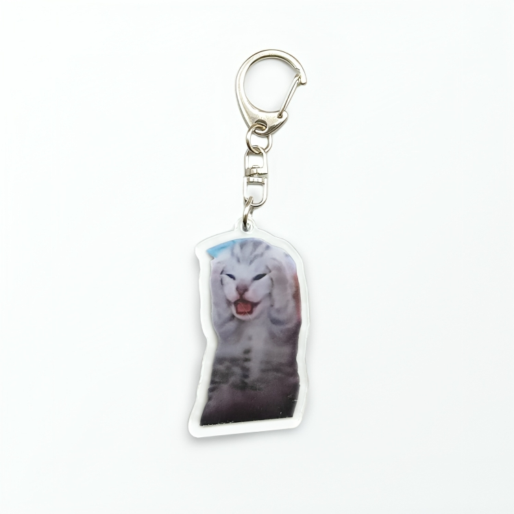 il Portachiavi Gatto-Meme