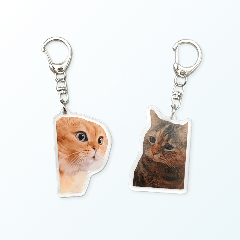 Gatti Parlante Portachiavi o Ciondolo un Regalo tema gatto perfetto per amanti dei gatti cionolo per borsa