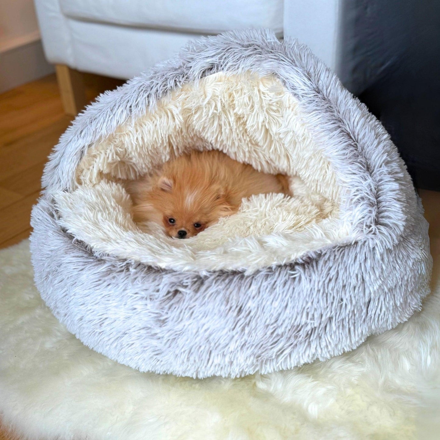 Cuccette per Gatti Rotonde in peluche, comfort e supporto ortopedico