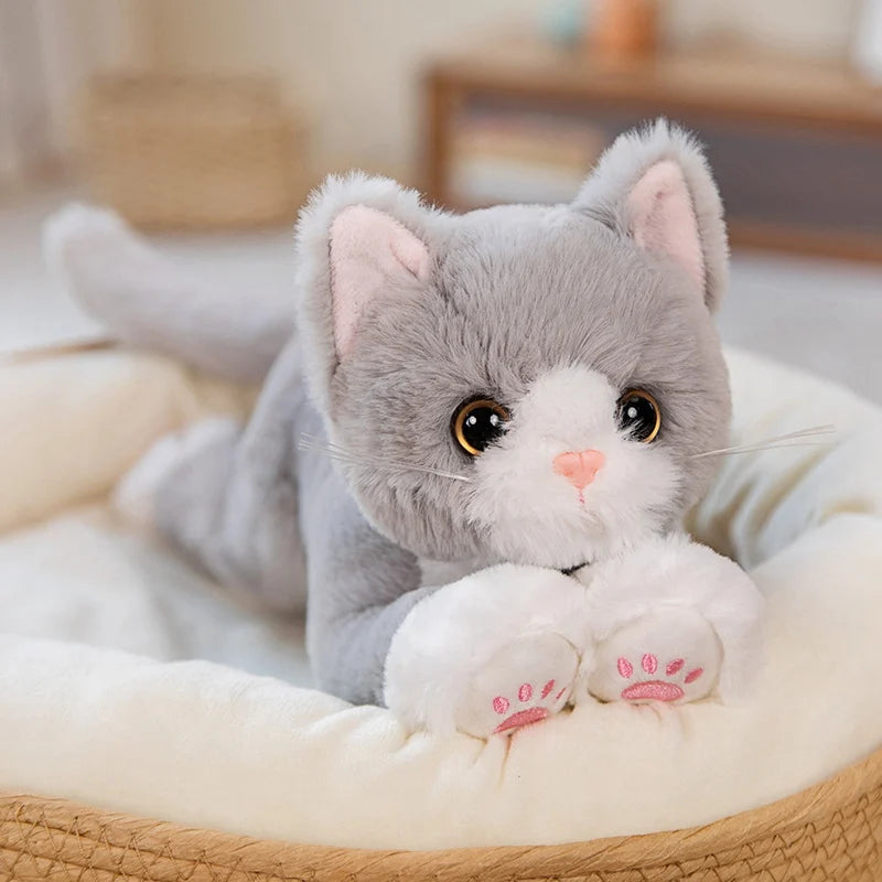 Peluche gatto per bambini da 53cm, morbido cuscino peluche realistico bianco e grigio